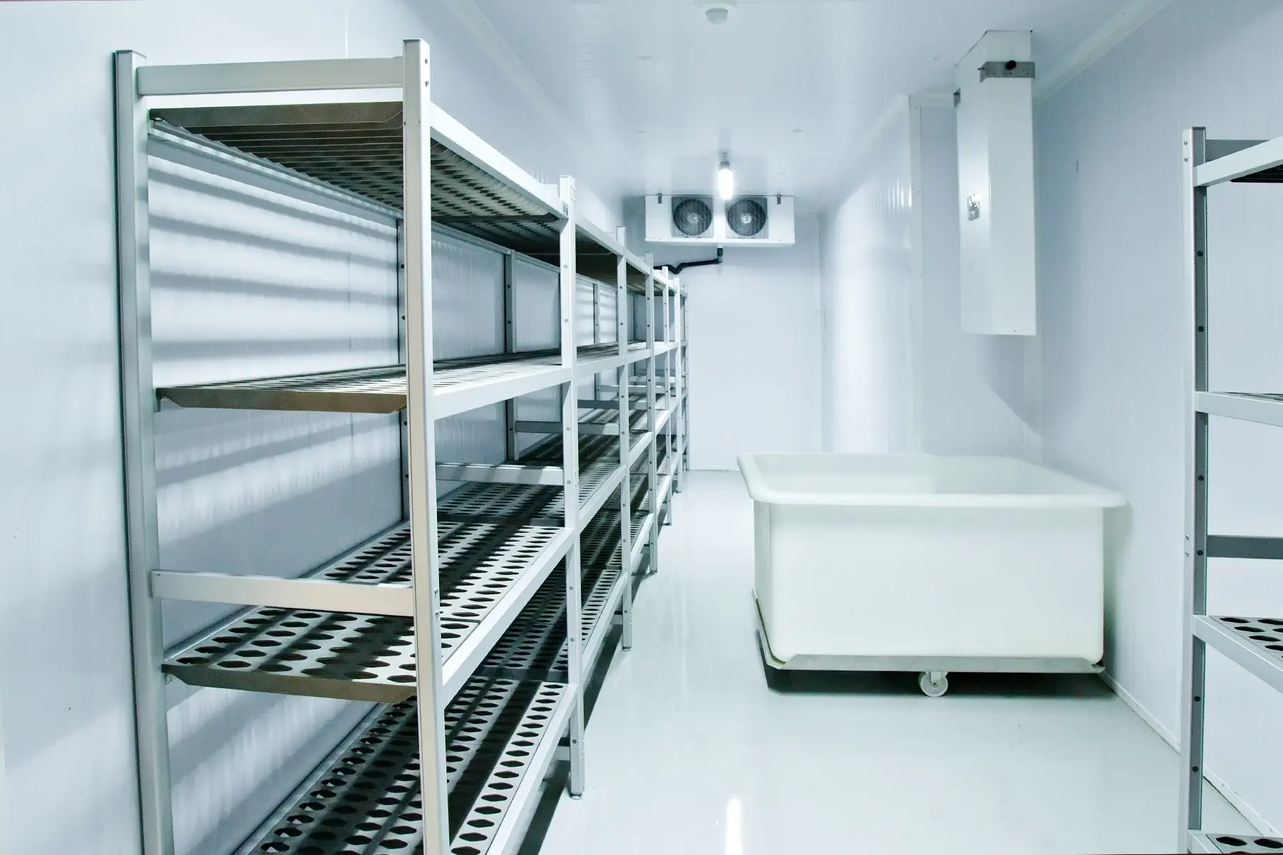 Interior-of-Industrial-Freezer